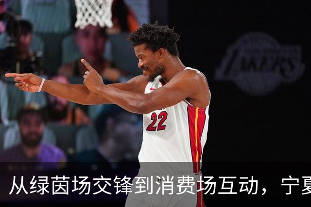 从绿茵场交锋到消费场互动，宁夏红借力足球营销撬动终端新增长
