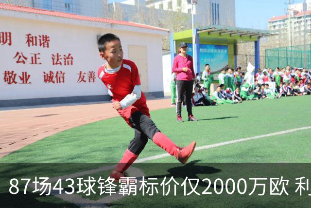 87场43球锋霸标价仅2000万欧 利兹联正加速今夏首签